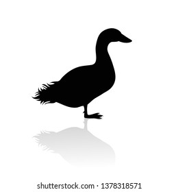 Vector silhouette of duck on white background.Symbol of animal and nature.