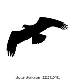 Vector silhouette of eagle in flight with wings spread. eagle balck sihouette isolated. vector eps10