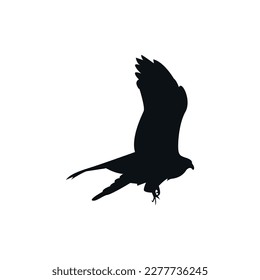 Vector silhouette of eagle flying in the sky, bird flat design isolated on white background.