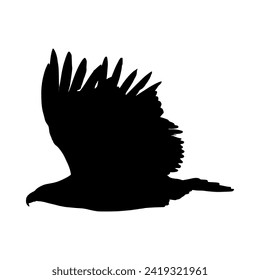 Vector silhouette of an eagle. Suitable for various designs related to the symbolism of majesty, freedom and strength often associated with eagles.