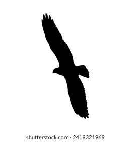 Vector silhouette of an eagle. Suitable for various designs related to the symbolism of majesty, freedom and strength often associated with eagles.