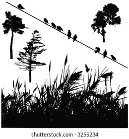 vector silhouette elements