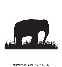 Vector silhouette of elephant in the grass on white background. Symbol of animal, zoo, Africa, safari, wild, nature, park, garden.