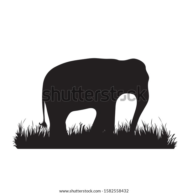 image vectorielle de stock de vector silhouette elephant grass on white 1582558432 shutterstock