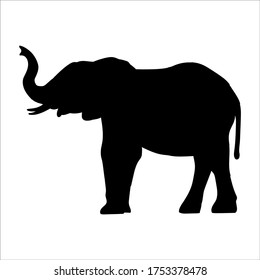 Vector silhouette of a elephant on a white background.