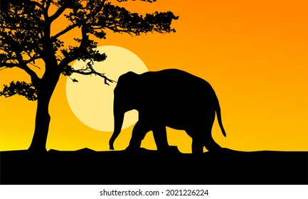 
vector silhouette of elephants and trees in the afternoon