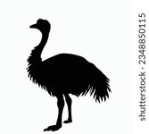 Vector Silhouette of Emu, Tall Emu Illustration for Wildlife and Nature Themes