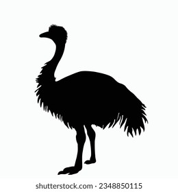 Vector Silhouette of Emu, Tall Emu Illustration for Wildlife and Nature Themes