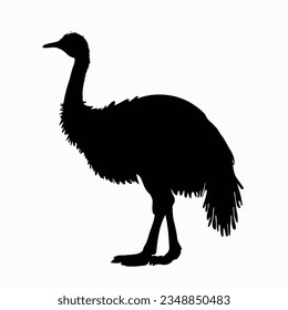 Vector Silhouette of Emu, Tall Emu Illustration for Wildlife and Nature Themes