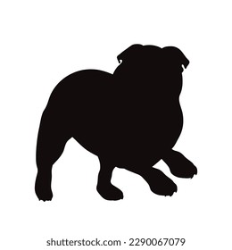 Vector silhouette of English Bulldog on white background. Symbol of dog and pet.