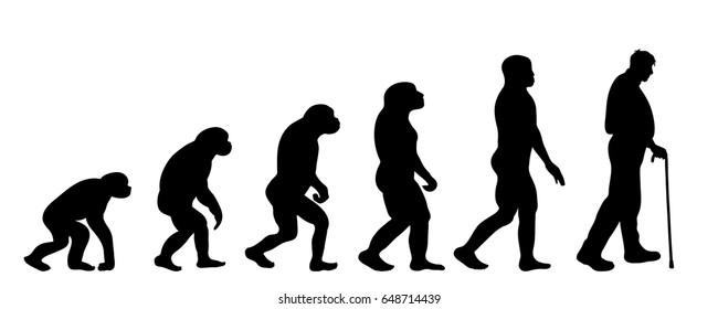 Vector silhouette of evolution of man.