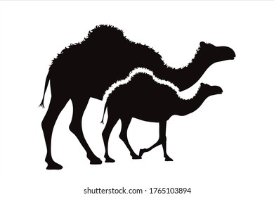 Vector silhouette of family of camel. Symbol of desert animals.