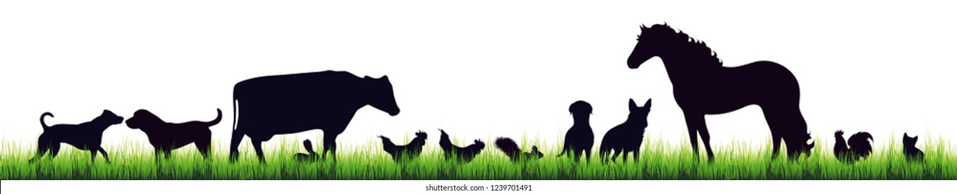 Vector silhouette of farm animal in the grass on white background.