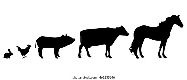 Vector silhouette of farm animal on white background.