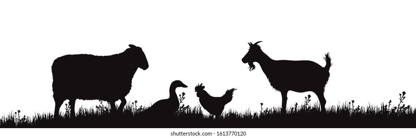 Vector silhouette of farm animals on white background. Symbol of garden pets together in the cattle.