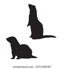 Vector Silhouette of Ferret Art Silhouette