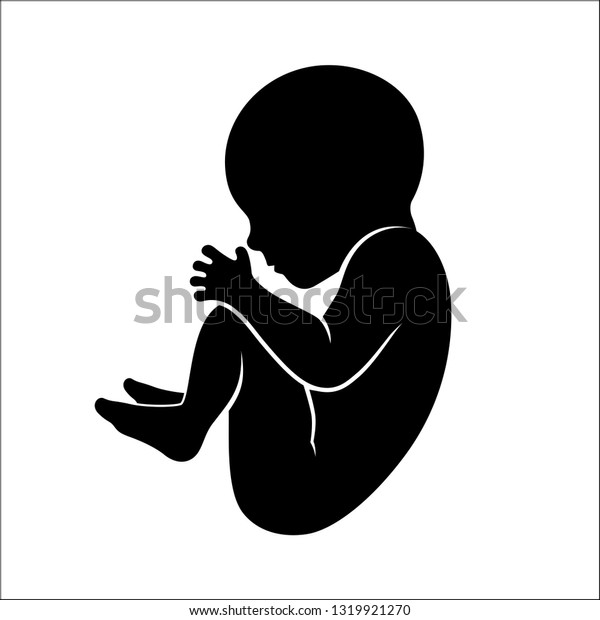 Image Vectorielle Silhouette Foetus Bebe Nouveau Ne Image Vectorielle De Stock Libre De Droits