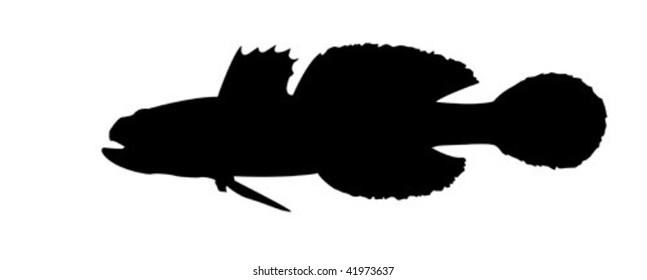 silueta vectorial de los peces sobre fondo blanco