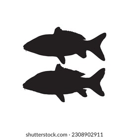 Vector silhouette  Fish , standing, black color, isolated on white background