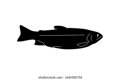 Vector silhouette of fish. trout Isolated on white background. For an icon or icon