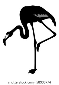 Vector silhouette of a flamingo