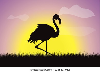 Silueta vectorial de flamingo en la hierba al atardecer. Símbolo de la naturaleza.