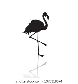 Vector silhouette of flamingo on white background.Symbol of animal and nature.