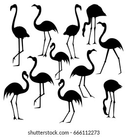 Vector silhouette of flamingos in various poses isolated on white background.