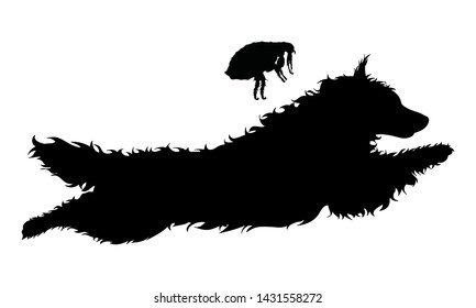 Vector silhouette of flea and dog on a white background. Symbol of parasites.