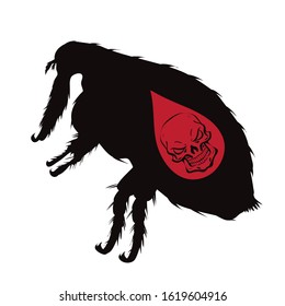 Vector silhouette of flea with skull on white background. Symbol of stop diseases.