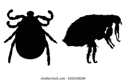 Vector Silhouette Of Flea And Tick On A White Background. Symbol Of Parasites.