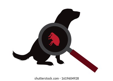 Vector silhouette of flea under magnifying glass sitting on dog on white background. Symbol of insect who annoying animal.