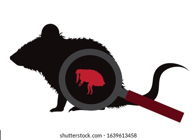 Vector Silhouette Of Flea Under Magnifying Glass Sitting On Rat On White Background. Symbol Of Insect Who Annoying Animal.