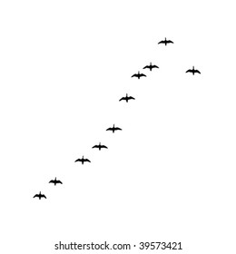 vector silhouette flock geese on white background