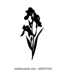 Vector silhouette of a flower, iris, black color, isolated on white background