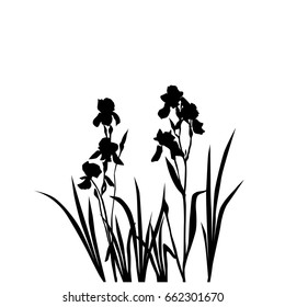 Vector silhouette of a flower, iris, black color, isolated on white background