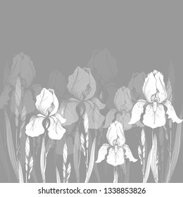 Vector silhouette of a flower, iris, white color, isolated on gray background 10 eps