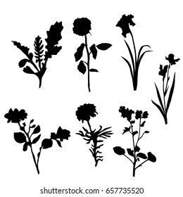Download Wildflower Silhouette High Res Stock Images Shutterstock