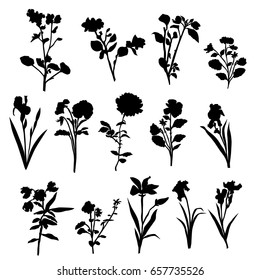 Vector silhouette flowers, black color, isolated on white background