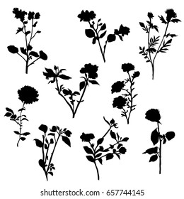 Vector silhouette flowers, black color, isolated on white background