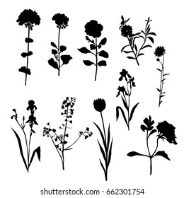 Vector silhouette flowers, black color, isolated on white background