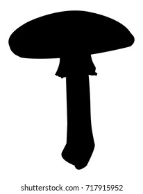 vector silhouette of fly agaric mushroom - Amanita muscaria