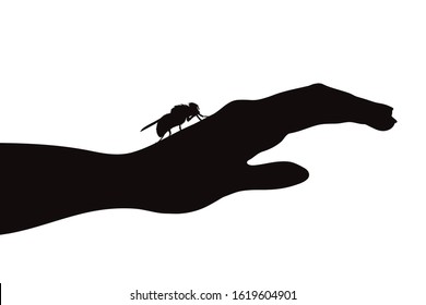 Vector silhouette of fly sitting on human hand on white background. Symbol of insect who annoying people. Danger of tsetse disease.