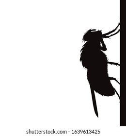 Vector silhouette of fly sitting on wall on white background. Symbol of annoying insect.