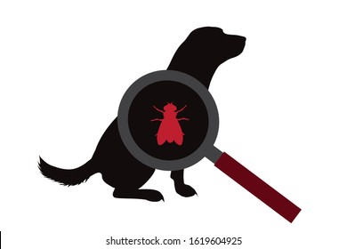 Vector silhouette of fly under magnifying glass sitting on dog on white background. Symbol of insect who annoying animal.
