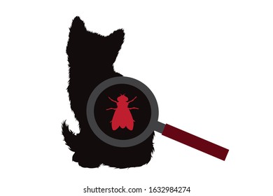 Vector silhouette of fly under magnifying glass sitting on cat on white background. Symbol of insect who annoying animal.