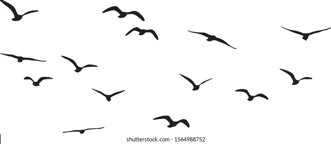 flying birds vector png