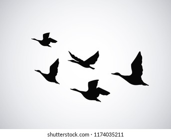 Vector silhouette flying birds, ducks on white background. Tattoo