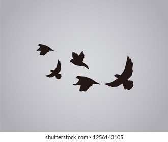 Vector silhouette flying birds on white background. Bird Tattoo