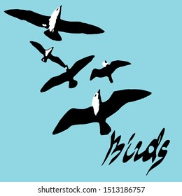 Vector silhouette flying birds on white background. Seagulls. 